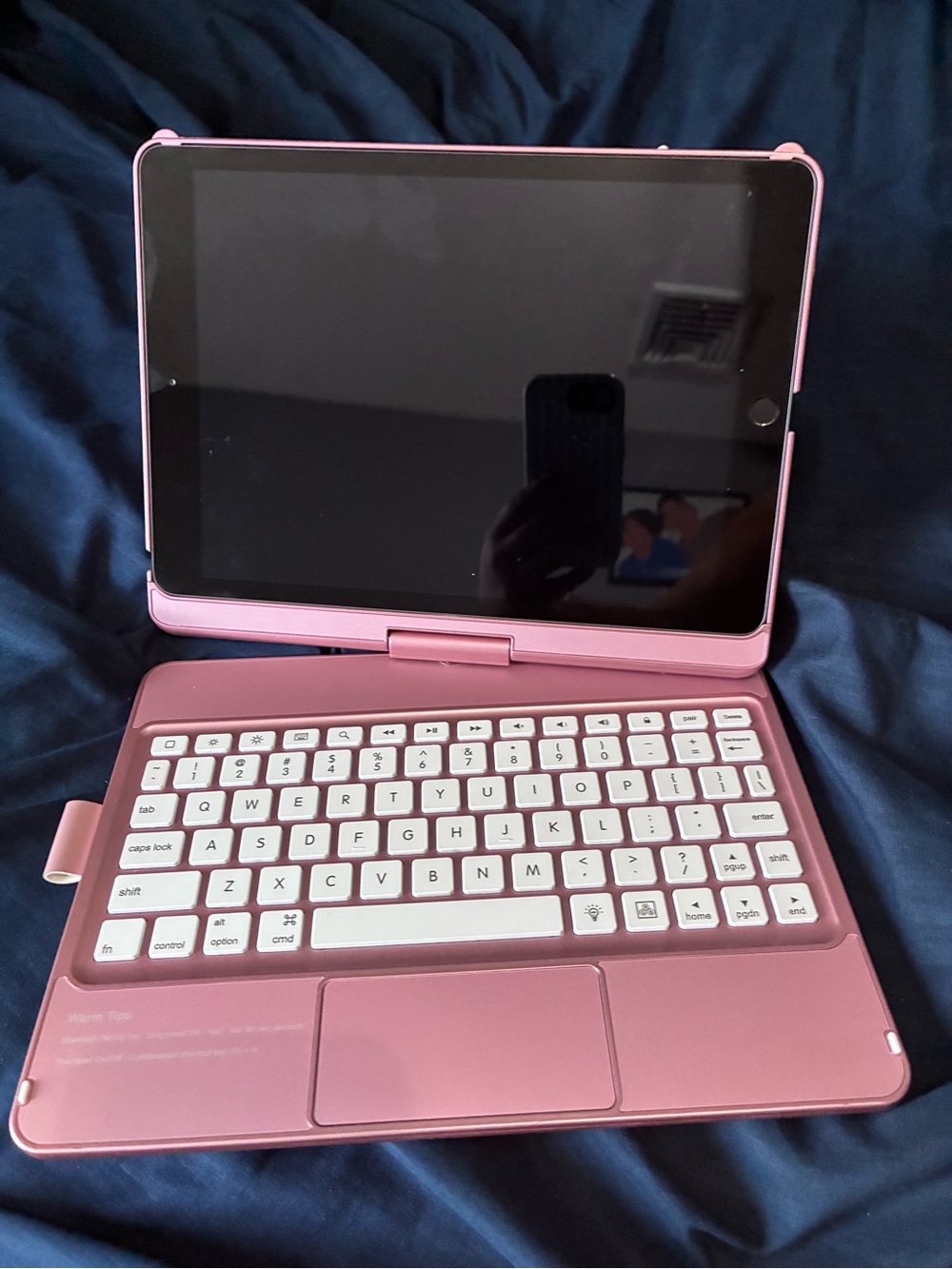 Pink Ipad with Keyboard Case included - no chargers.